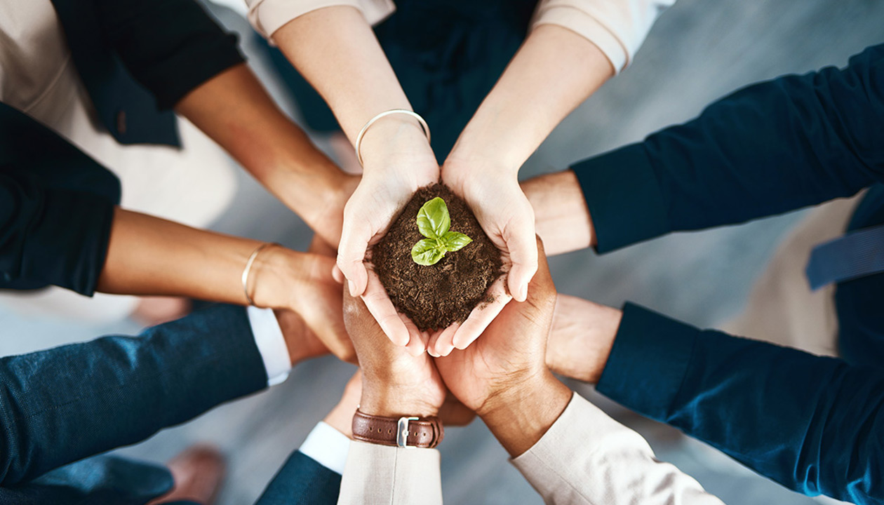 Creating a healthy and productive workforce