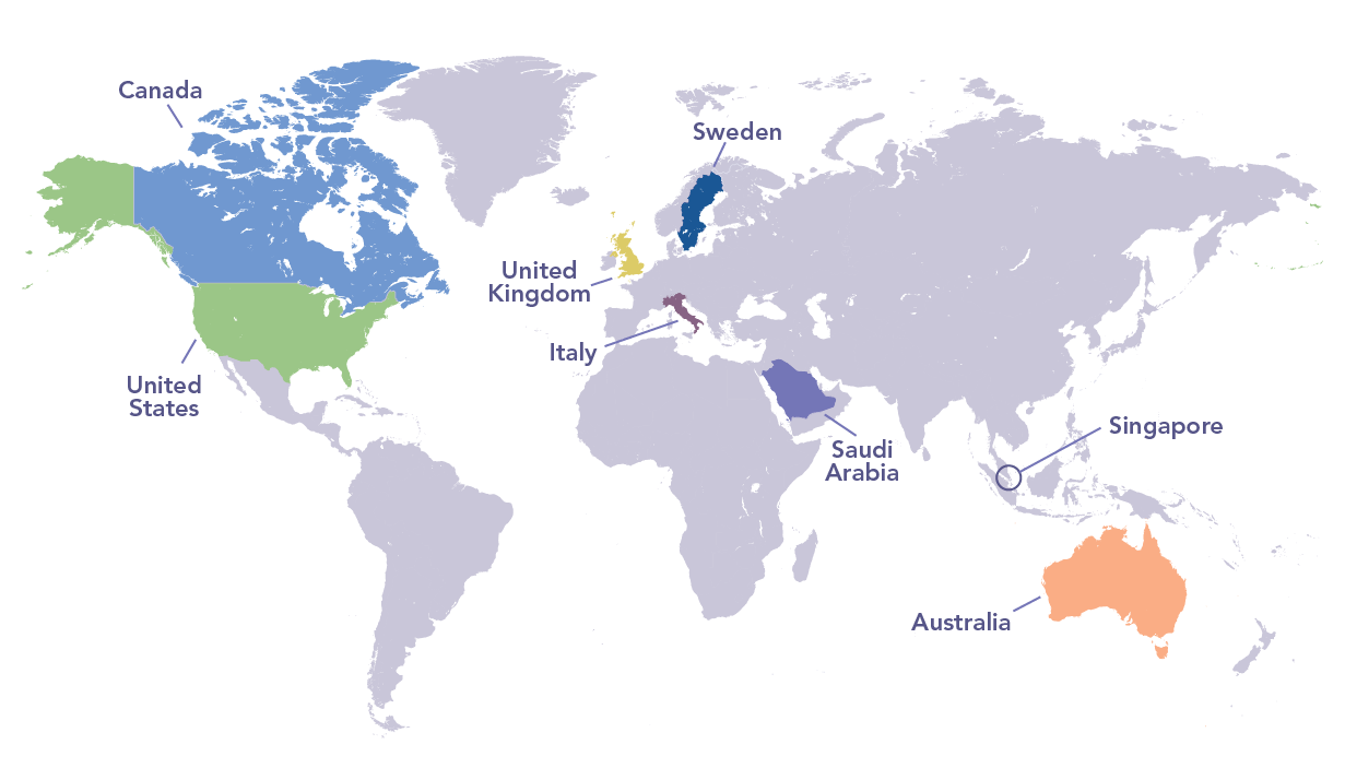 A global leader in government services